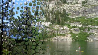 202210300513019214250009