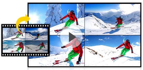 202210300514329995510008