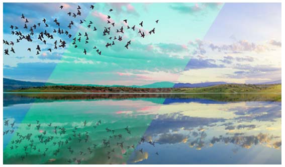 202210300514337352760010