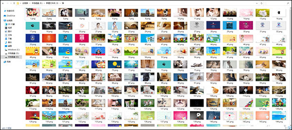 202210300524498647060007