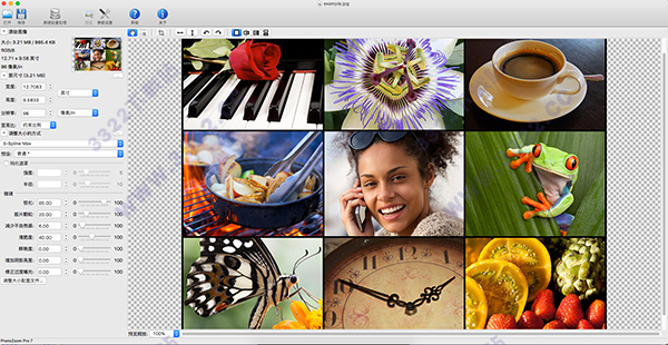 PhotoZoom Pro 7 For Mac 中文破解版