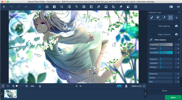 202210300534483510040000