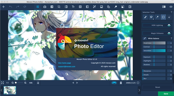 202210300534498217900005