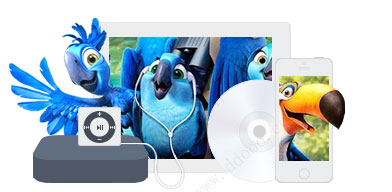 202210300536292981490013