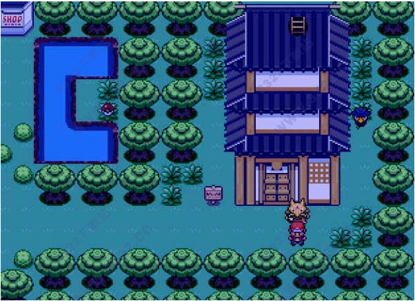 202210300548360850860048