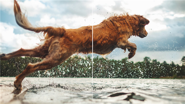 202210300556574086500017