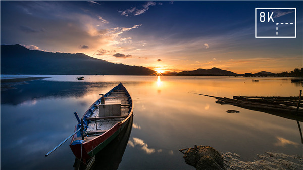 202210300556584156540020