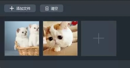 202210300558407905300003