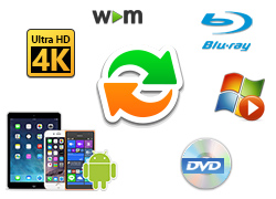 202210300600586487800007