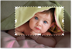 202210300600589046870008