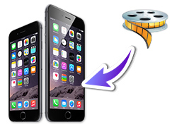 202210300600597664500010