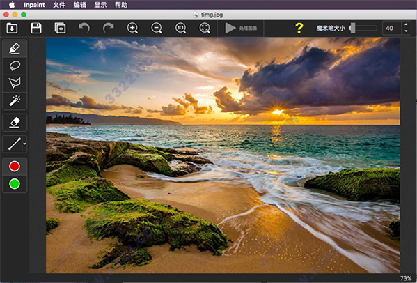 Teorex Inpaint for Mac破解版