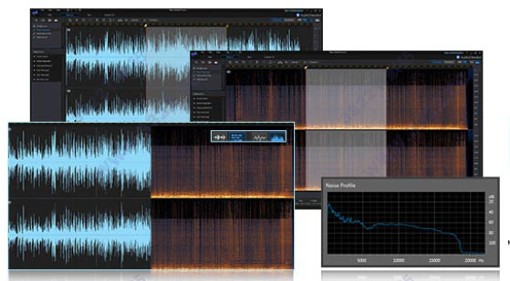 202210300618355415170017