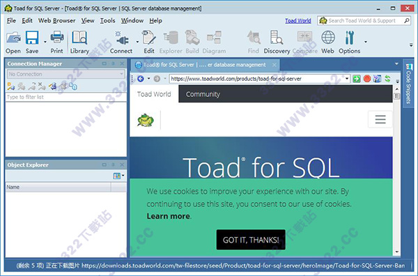 Toad for SQL Server