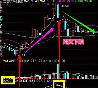 202210300724345426660004