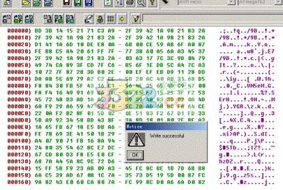 202210300736064674470006