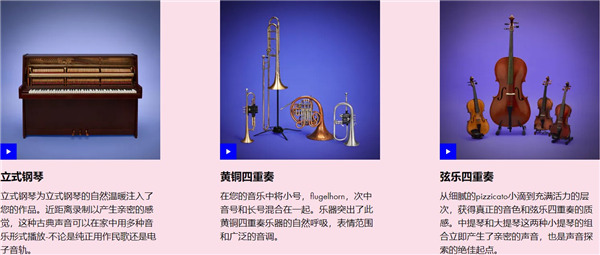 202210300804465077650017