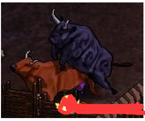 202210300814186605750001