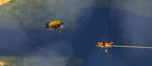 202210300814212236730009