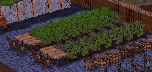 202210300814228148550014