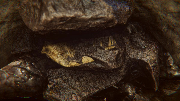 202210300827329329110003