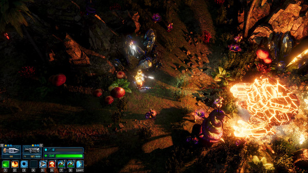 202210300843032149560019