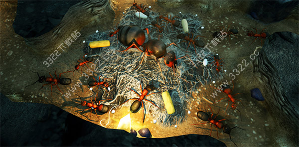 202210300845198017540002