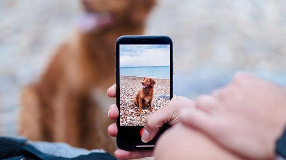 202210300907347207280009