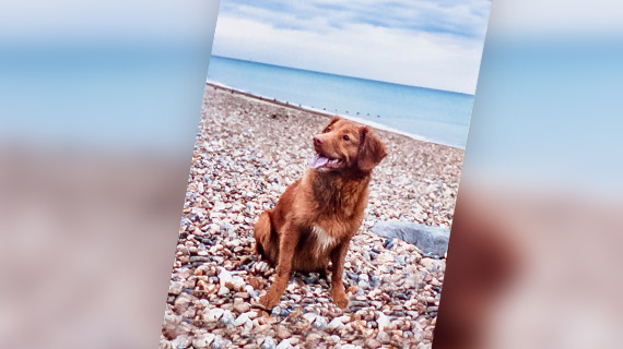 202210300907349297010010