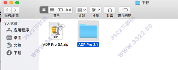 202210301011229198770001