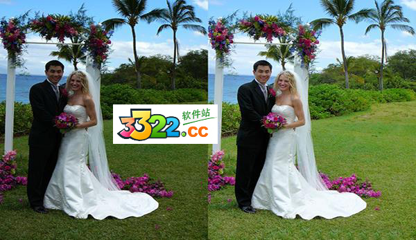 202210301011459615850002