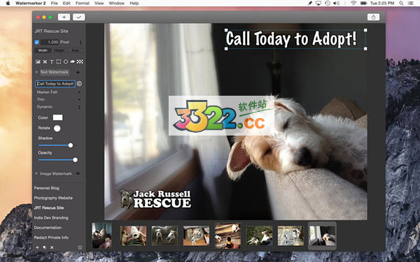 202210301012364746550000