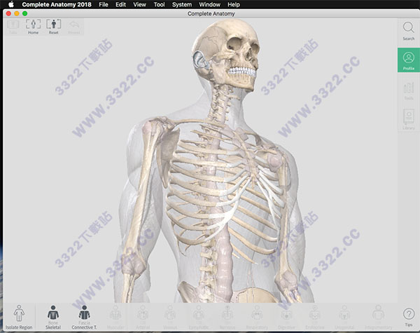 Complete Anatomy 2018 for Mac破解版