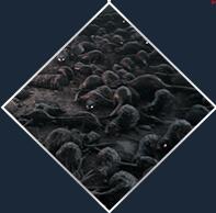 202210301021210618030007