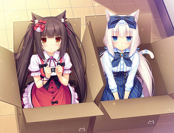 202210301029125427640011