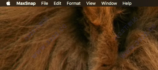 MaxSnap for Mac破解版