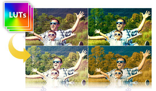 202210301100336263690010