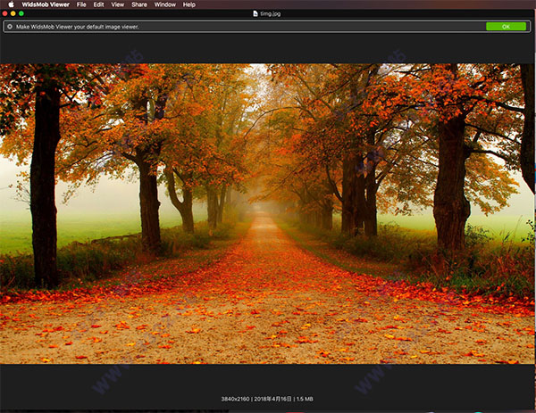 WidsMob Viewer for Mac破解版