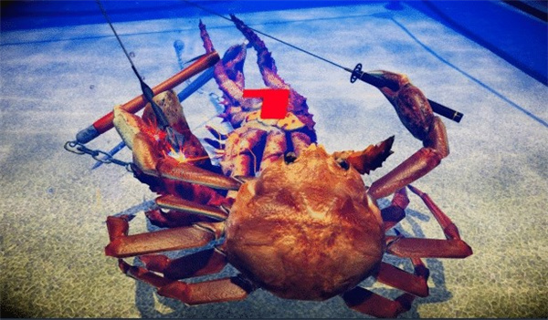 202210301120438327470007