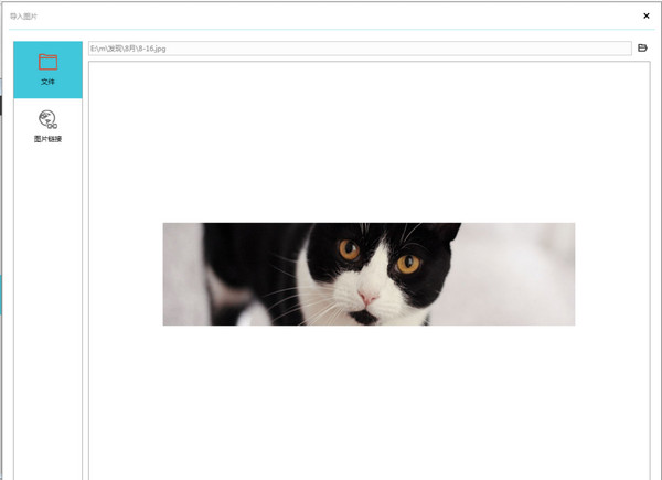 202210310237421796040007