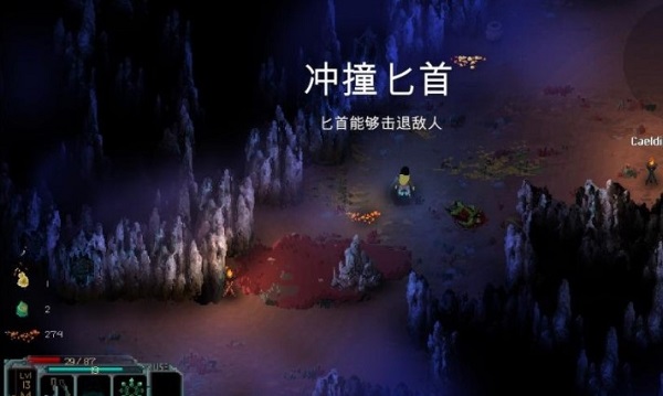 202210310241269059290001