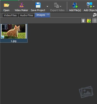 202210310242544909460010