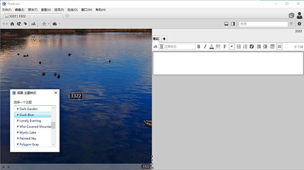202210310250096767000005