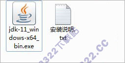 202210310253132352820002