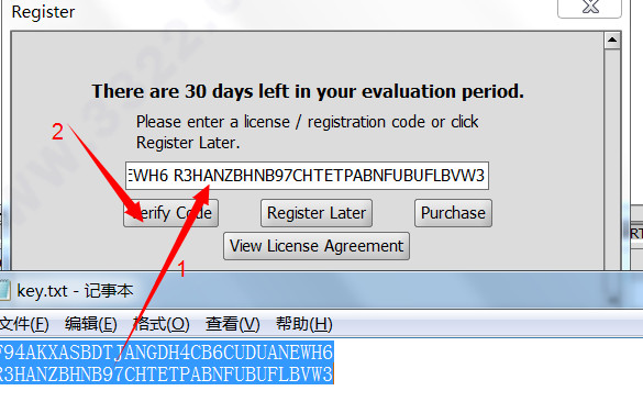 202210310300395301770008