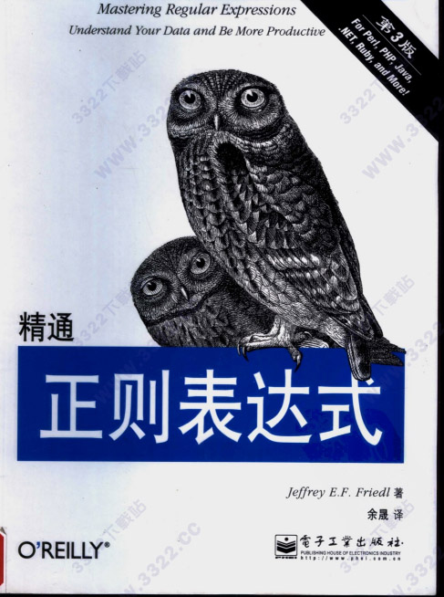 精通正则表达式第3版