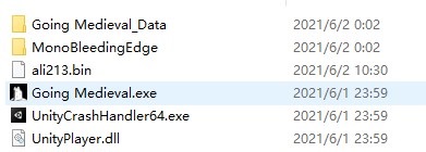 202210310309046219230001