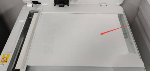 202210310310244460130011