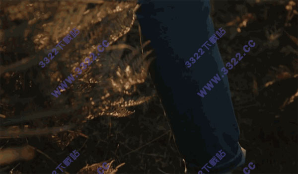 202210310323176936520000