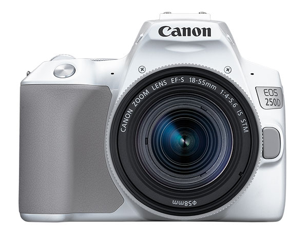 202210310334285358540010